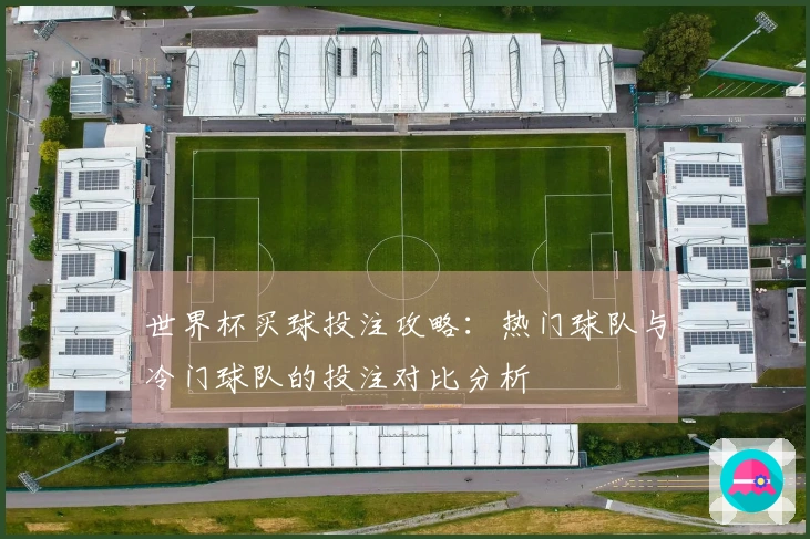 世界杯买球投注攻略：热门球队与冷门球队的投注对比分析
