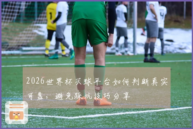 2026世界杯买球平台如何判断真实可靠，避免踩坑技巧分享