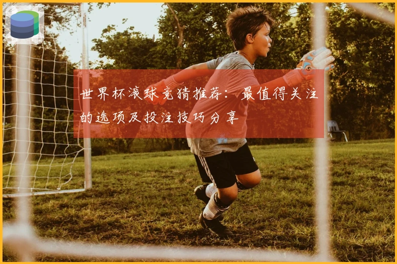 世界杯滚球竞猜推荐：最值得关注的选项及投注技巧分享