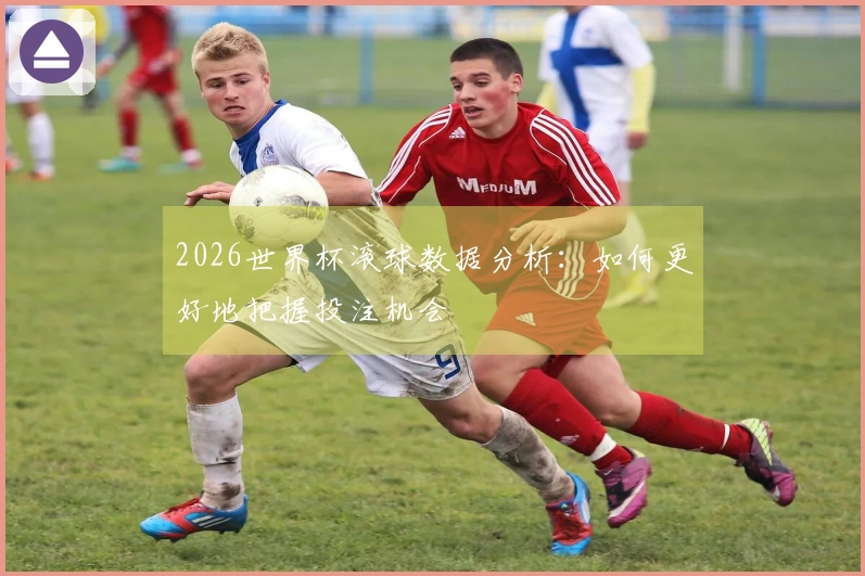 2026世界杯滚球数据分析：如何更好地把握投注机会