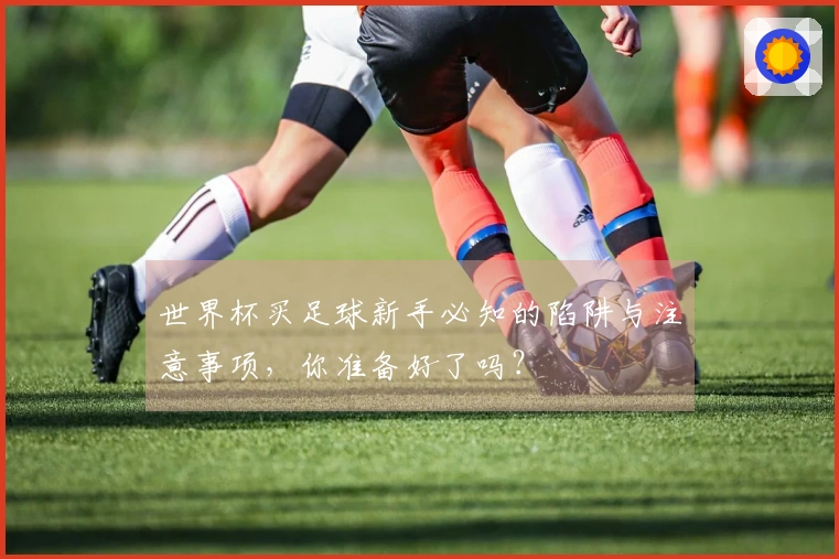 世界杯买足球新手必知的陷阱与注意事项，你准备好了吗？