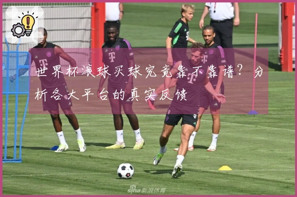 世界杯滚球买球究竟靠不靠谱？分析各大平台的真实反馈