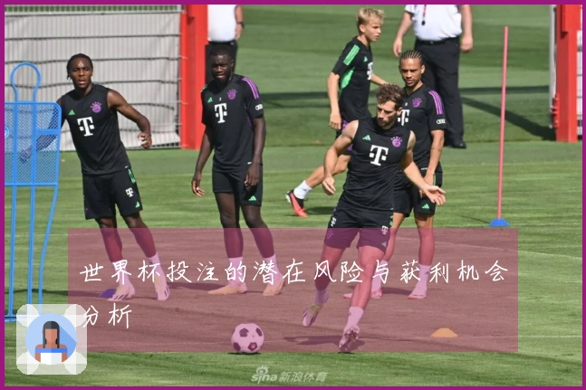 世界杯投注的潜在风险与获利机会分析