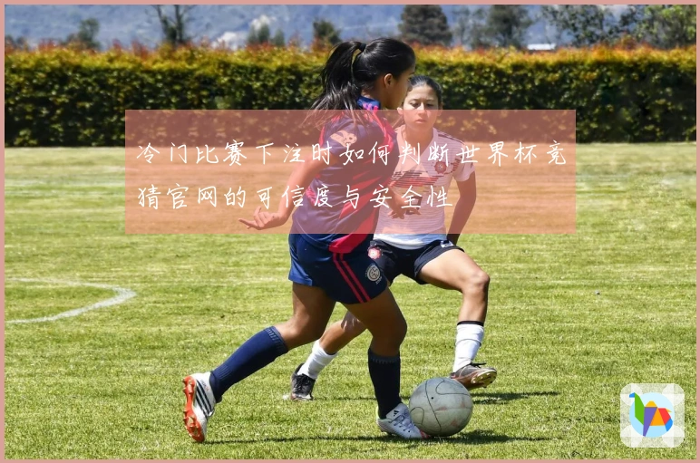 冷门比赛下注时如何判断世界杯竞猜官网的可信度与安全性