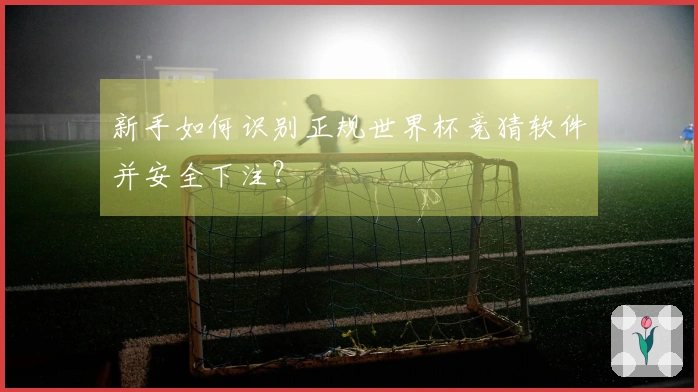 新手如何识别正规世界杯竞猜软件并安全下注？