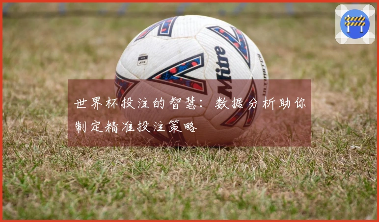 世界杯投注的智慧：数据分析助你制定精准投注策略