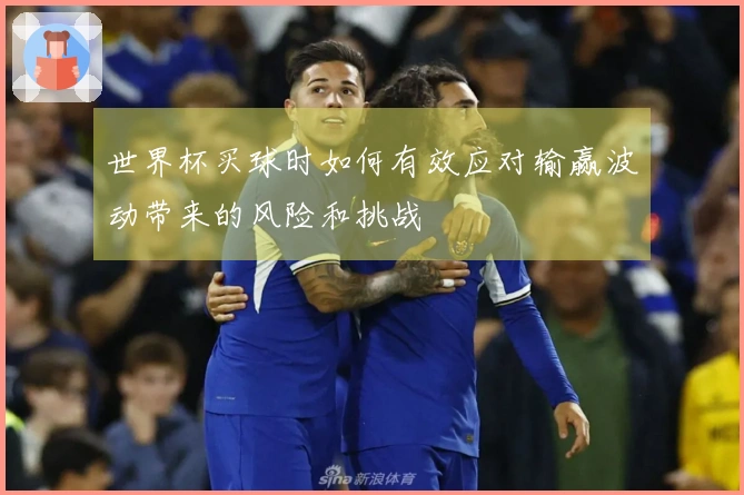 世界杯买球时如何有效应对输赢波动带来的风险和挑战