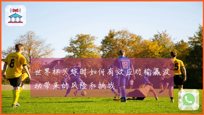 世界杯买球时如何有效应对输赢波动带来的风险和挑战