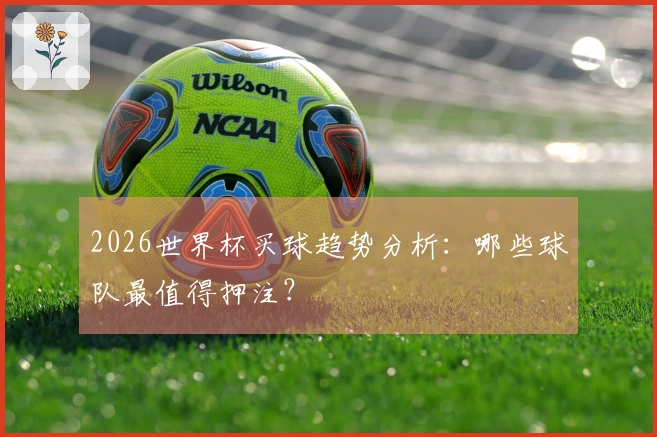 2026世界杯买球趋势分析：哪些球队最值得押注？