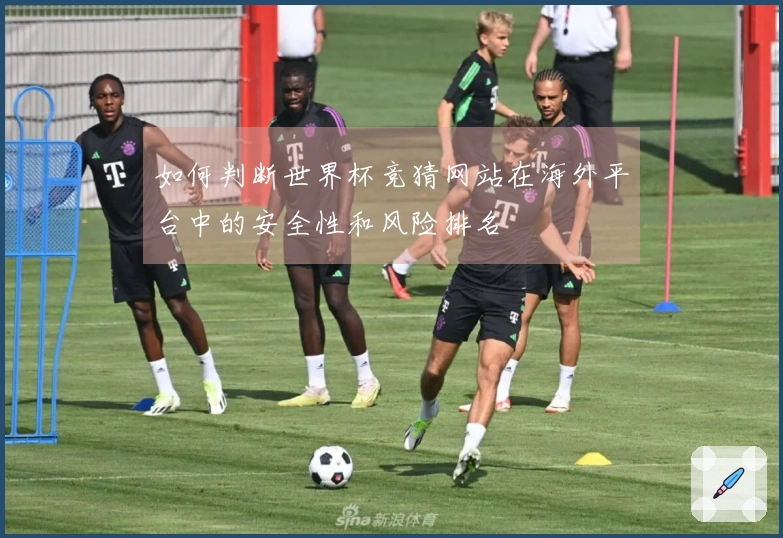 如何判断世界杯竞猜网站在海外平台中的安全性和风险排名