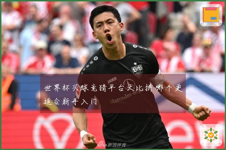 世界杯买球竞猜平台大比拼 哪个更适合新手入门