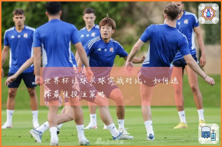 世界杯让球买球实战对比，如何选择最佳投注策略