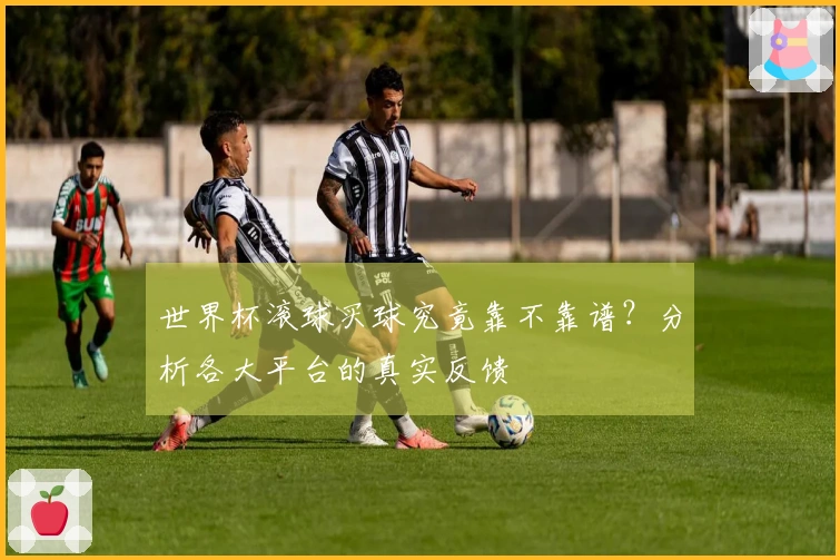 世界杯滚球买球究竟靠不靠谱？分析各大平台的真实反馈
