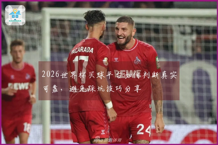 2026世界杯买球平台如何判断真实可靠，避免踩坑技巧分享