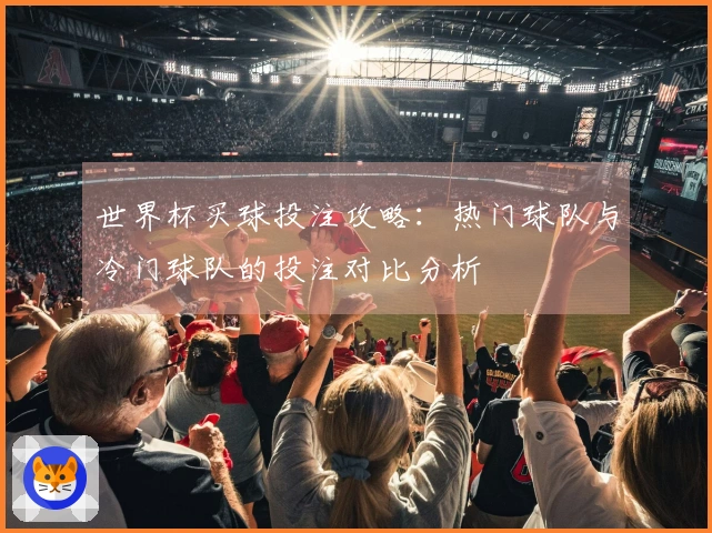 世界杯买球投注攻略：热门球队与冷门球队的投注对比分析