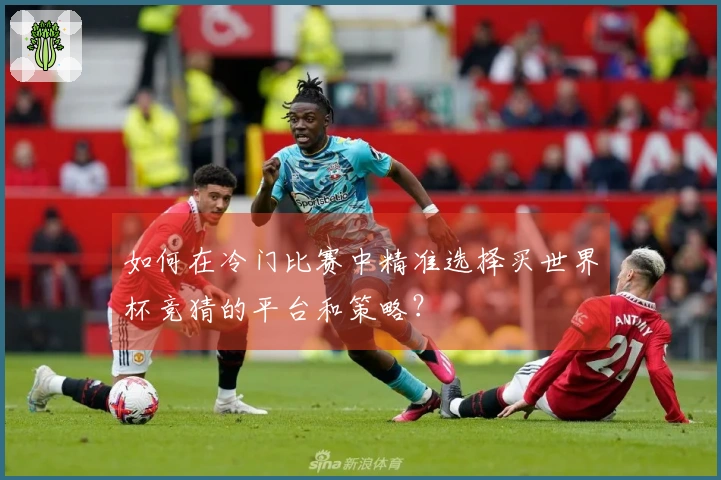 如何在冷门比赛中精准选择买世界杯竞猜的平台和策略？