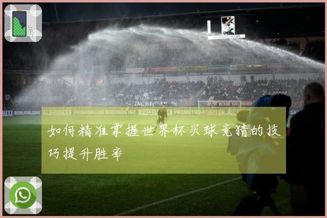如何精准掌握世界杯买球竞猜的技巧提升胜率