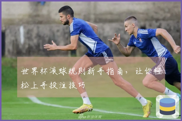 世界杯滚球规则新手指南，让你轻松上手投注技巧