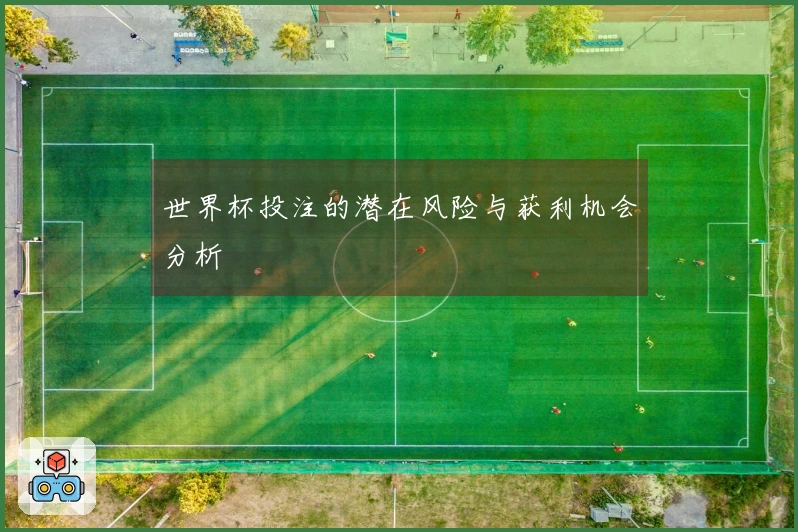 世界杯投注的潜在风险与获利机会分析
