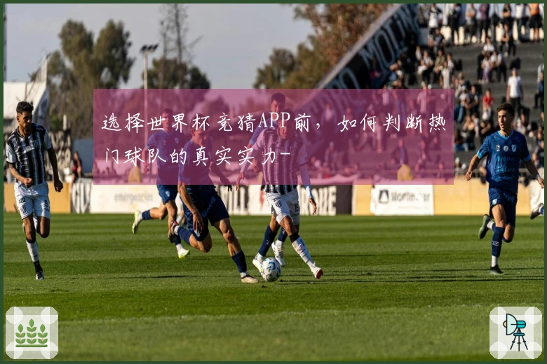 选择世界杯竞猜APP前，如何判断热门球队的真实实力-