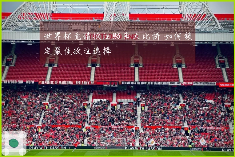 世界杯竞猜投注赔率大比拼 如何锁定最佳投注选择