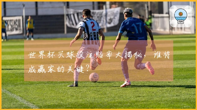 世界杯买球投注赔率大揭秘，谁将成赢家的关键？