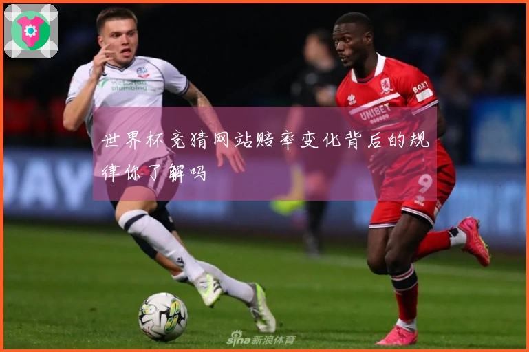 世界杯竞猜网站赔率变化背后的规律你了解吗