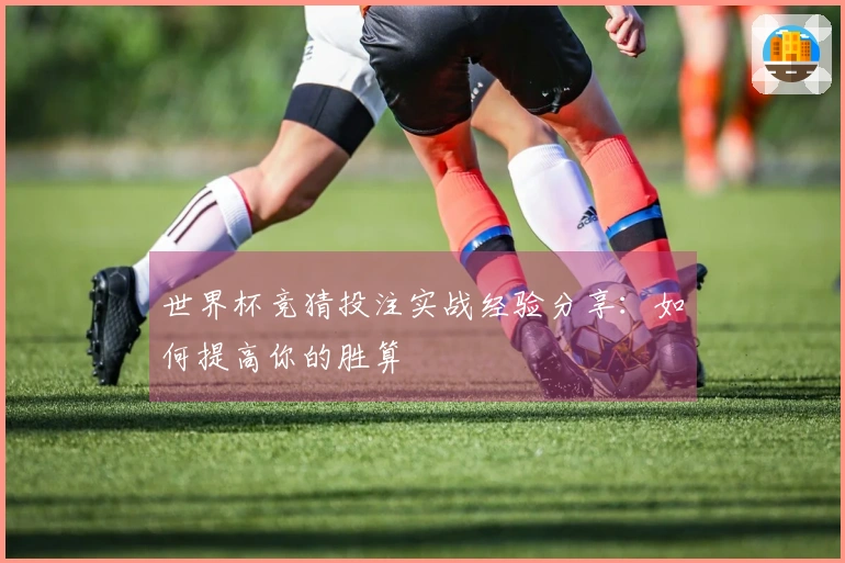 世界杯竞猜投注实战经验分享：如何提高你的胜算
