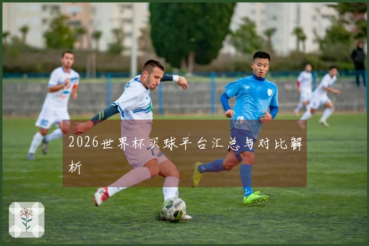 2026世界杯买球平台汇总与对比解析