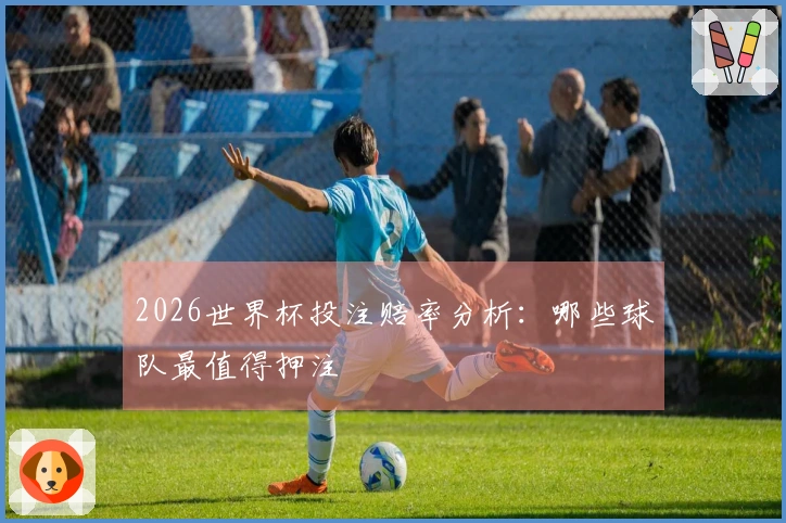 2026世界杯投注赔率分析：哪些球队最值得押注