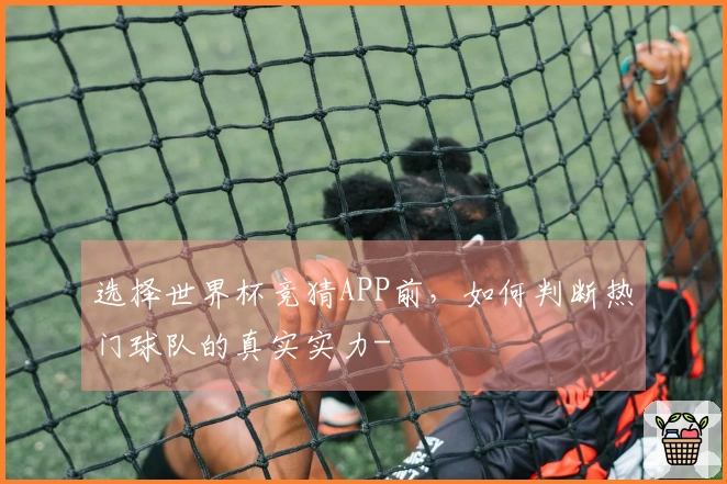 选择世界杯竞猜APP前，如何判断热门球队的真实实力-