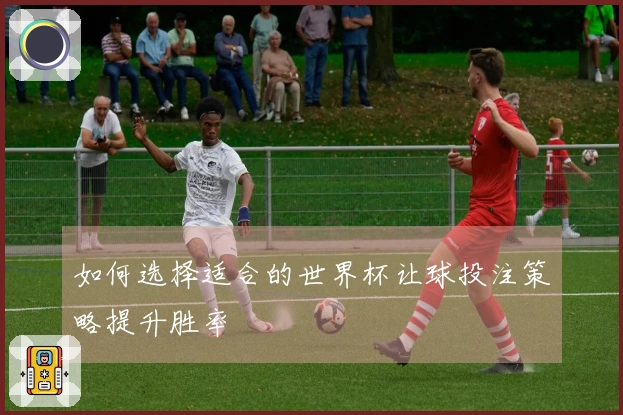 如何选择适合的世界杯让球投注策略提升胜率