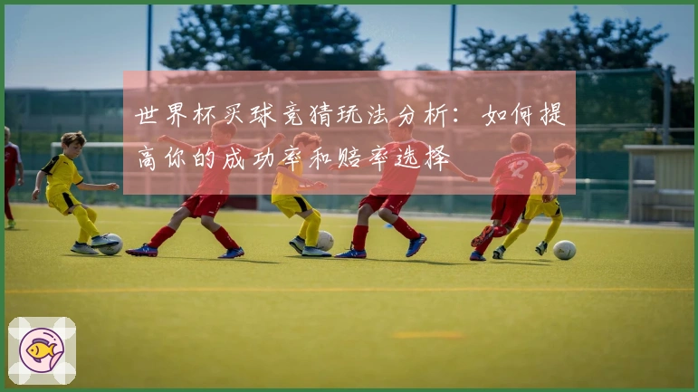 世界杯买球竞猜玩法分析：如何提高你的成功率和赔率选择